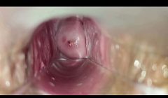 orgasmo vaginal